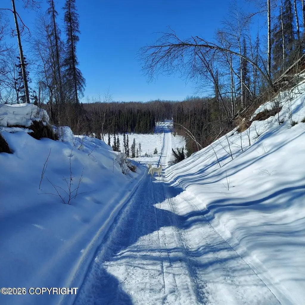 No Road E Walsted Drive, Talkeetna, AK 99676 - #1