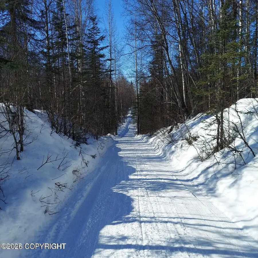 No Road E Walsted Drive, Talkeetna, AK 99676 - #2