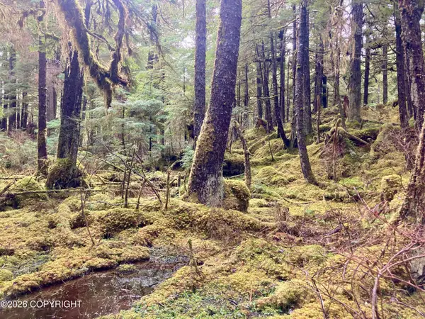 L9B18 South Thorne Bay, Thorne Bay, AK 99919