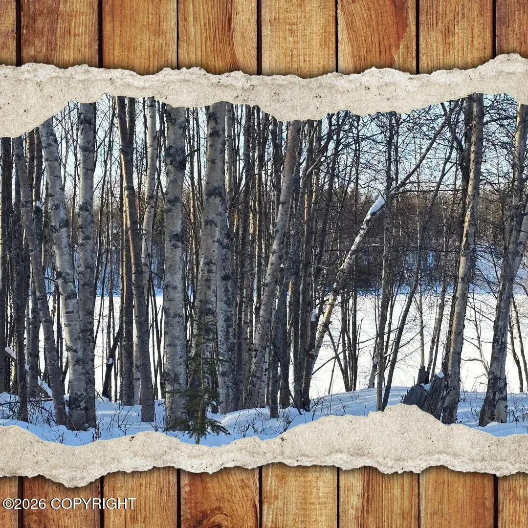 L39 B1 Eagle Avenue, Nikiski, AK 99635 - #1