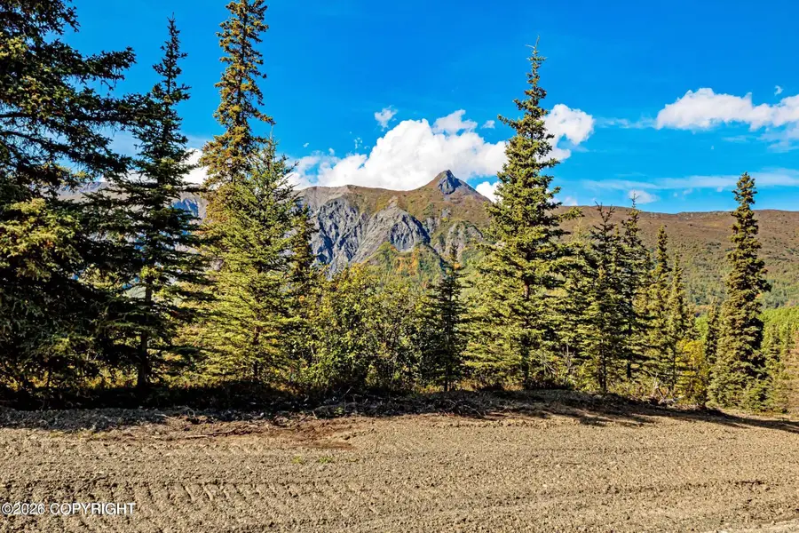 63270 S Red Rooster Road, Chickaloon, AK 99674 - #3