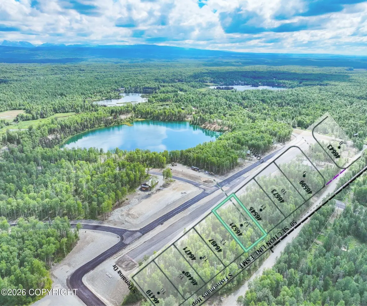 46521 S Fishermans Hop Road, Willow, AK 99688 - #1