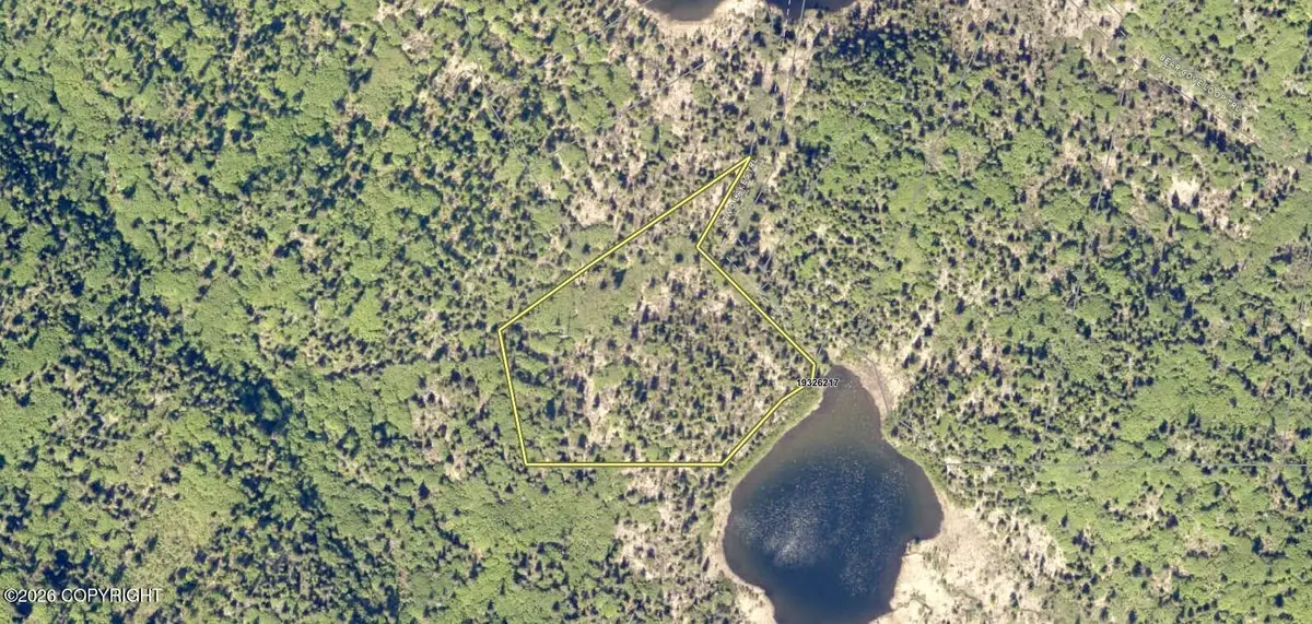 L11 Two Lakes Trail, Homer, AK 99603 - #1