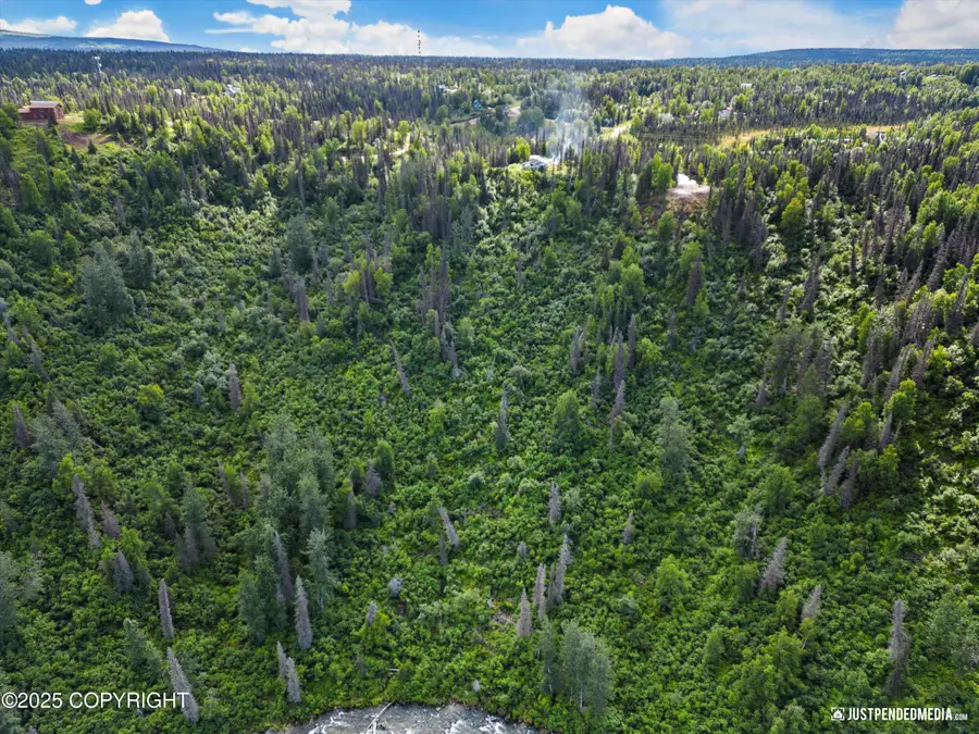 12719 W Snowberry Road, Willow, AK 99688 - #3