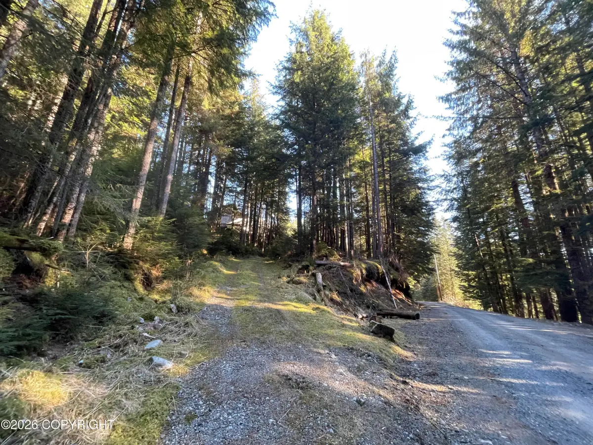 Tract 1 Nanny Bay Road, Hollis, AK 99919 - #1