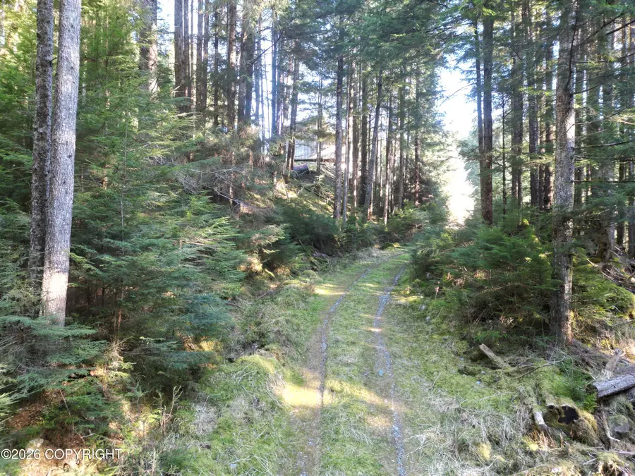 Tract 1 Nanny Bay Road, Hollis, AK 99919 - #2