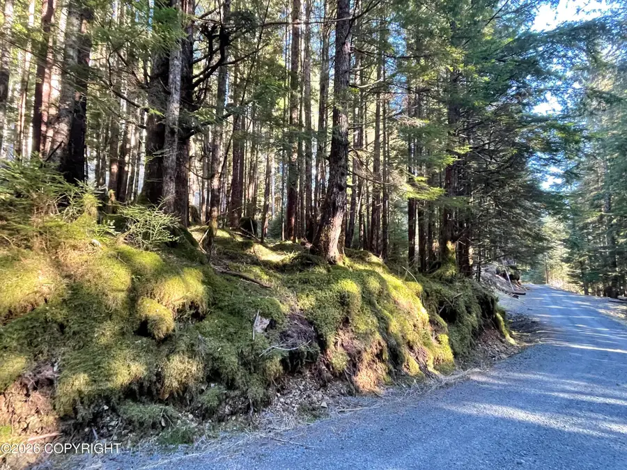 Tract 1 Nanny Bay Road, Hollis, AK 99919 - #3