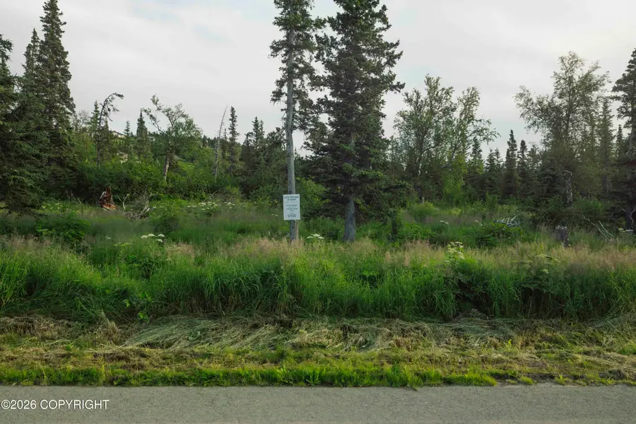 L4 Mountain Air Drive, Anchorage, AK 99516 - #3