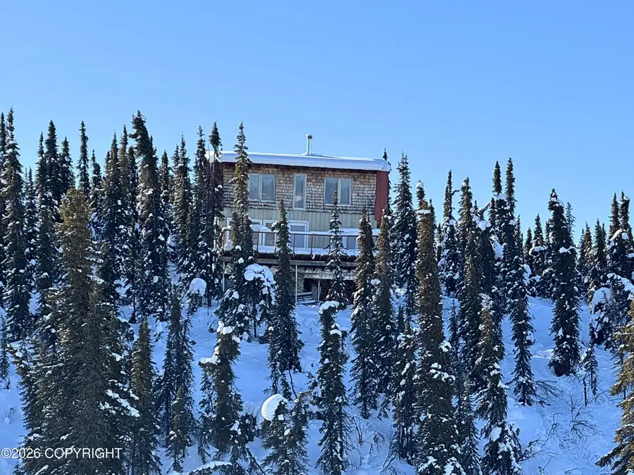 L22 No Road Lake Louise, Glennallen, AK 99588 - #2