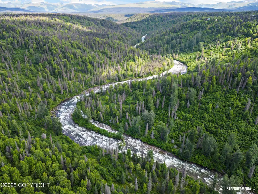 12431 W Snowberry Road, Willow, AK 99688 - #2