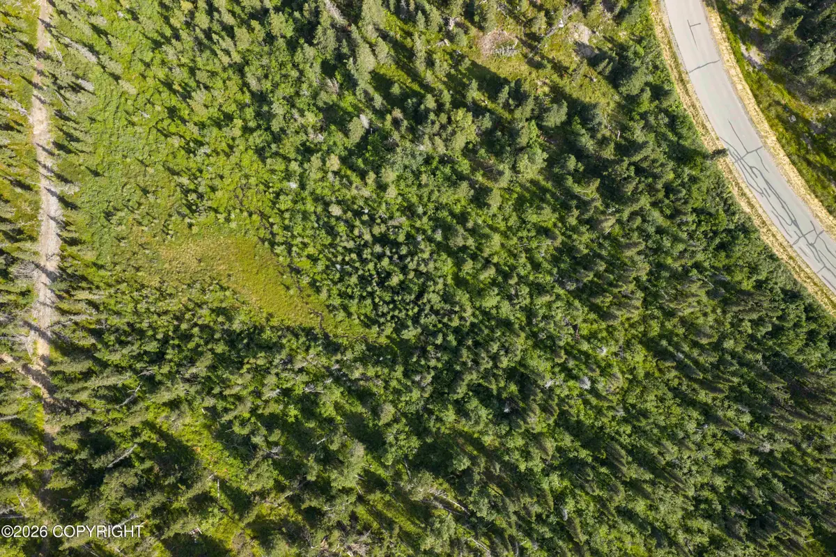 L5 Mountain Air Drive, Anchorage, AK 99516 - #1