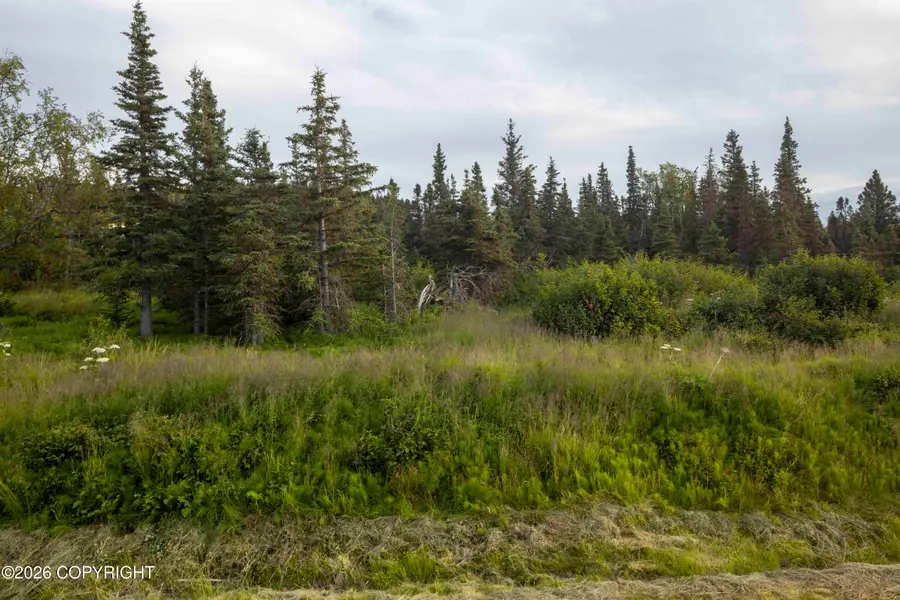 L4 & L5 Mountain Air Drive, Anchorage, AK 99516 - #2