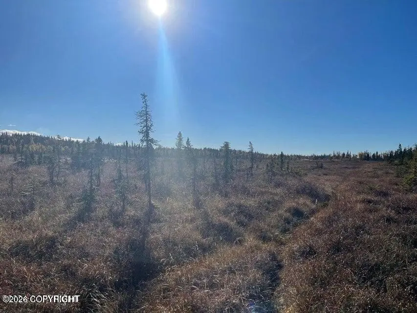 67280 St. John Road, Happy Valley, AK 99556 - Image #3