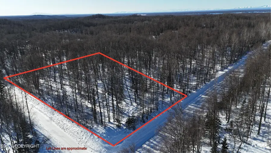 29836 S Little Shawn Drive, Talkeetna, AK 99676 - #3