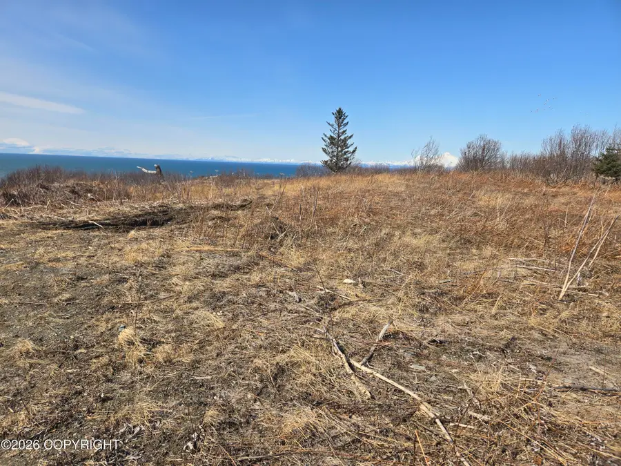 L7 Danver, Anchor Point, AK 99556 - #2