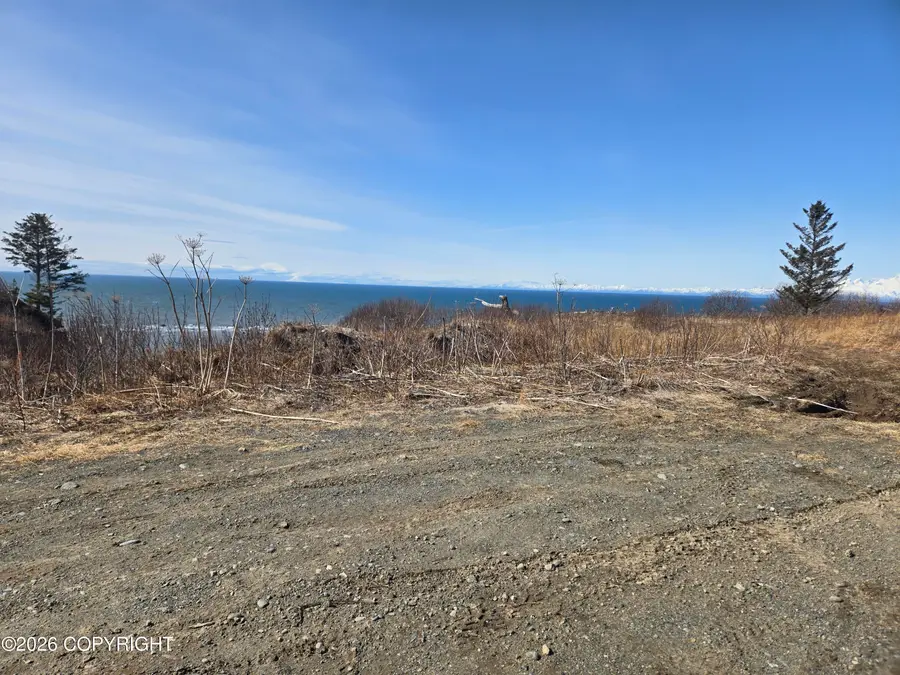 L7 Danver, Anchor Point, AK 99556 - #3