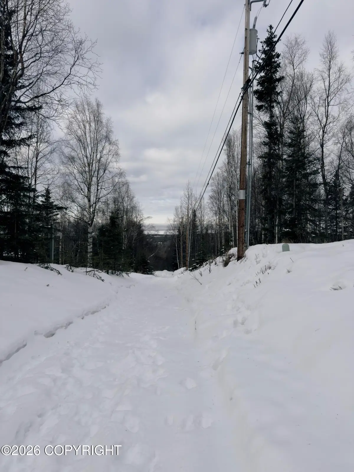 0000 Griffin Road, Anchorage, AK 99516 - #1