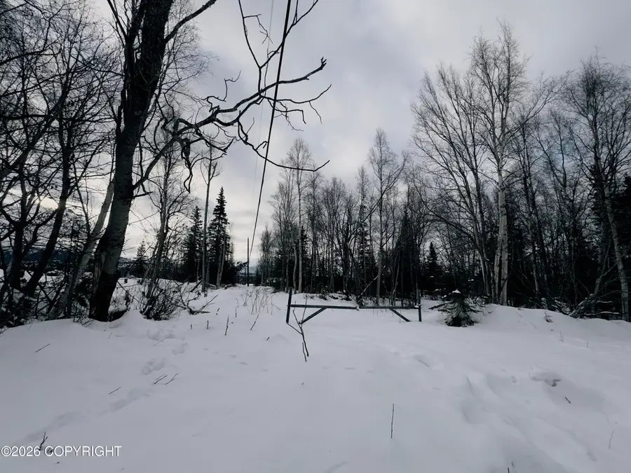 0000 Griffin Road, Anchorage, AK 99516 - #2