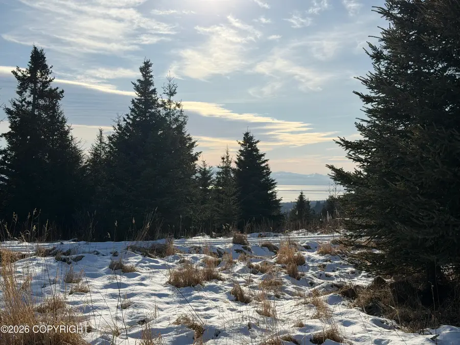 55446 Finch Avenue, Homer, AK 99603 - #3