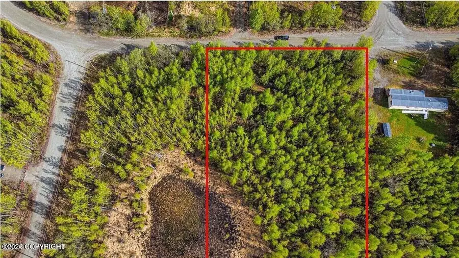 11210 W Valois Drive, Houston, AK 99652 - #3