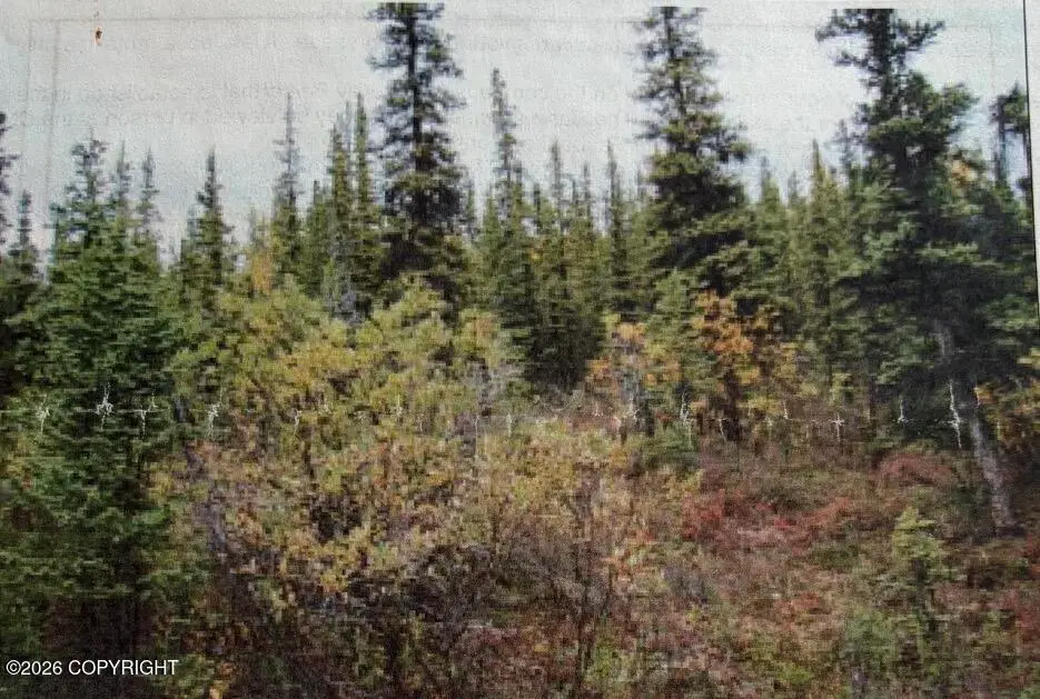Trt 20 Asls 2009-46, Glennallen, AK 99588 - #1