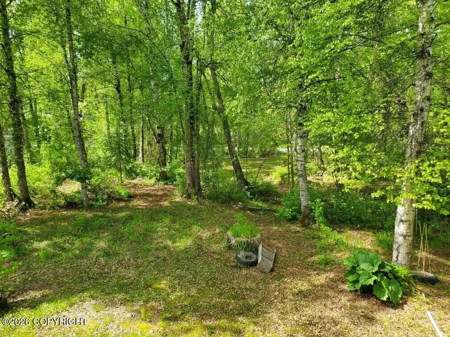 I S 22129 Street, Talkeetna, AK 99676 - #2