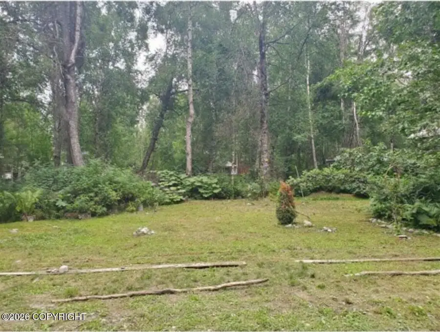 22107 S I Street, Talkeetna, AK 99676 - #2