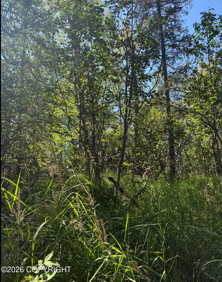 35682 Violet Circle, Point Possession, AK 99611 - #3