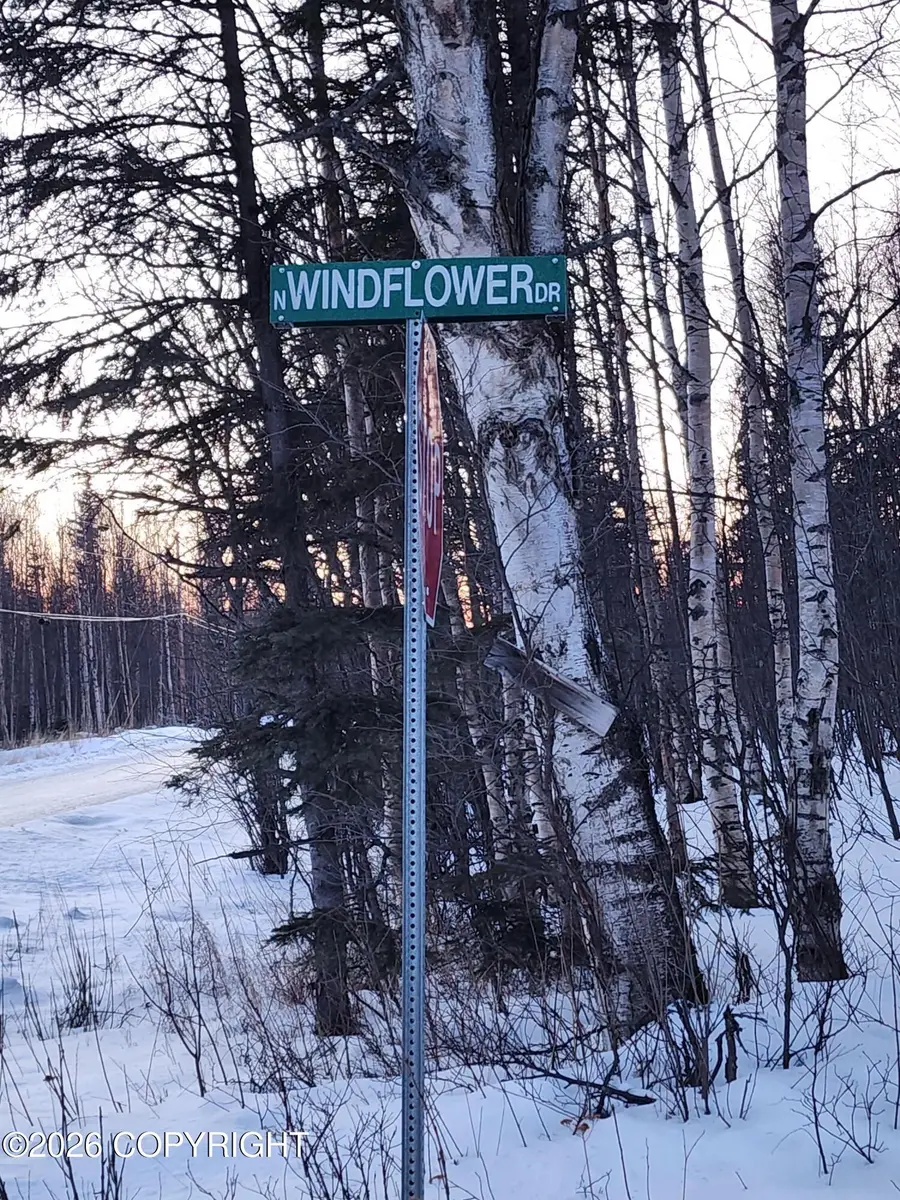 Tr C Foxwood, Wasilla, AK 99654 - #2