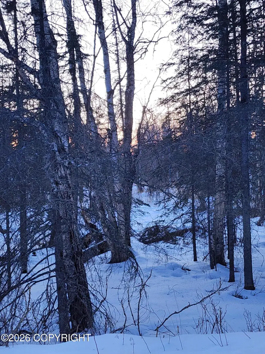Tr C Foxwood, Wasilla, AK 99654 - #3