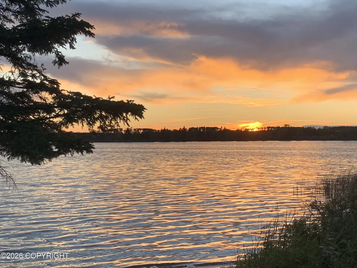 90055 N Remote Trail, Talkeetna, AK 99676 - #1