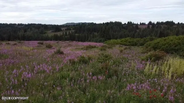 61188 Master Avenue, Homer, AK 99603 - #1