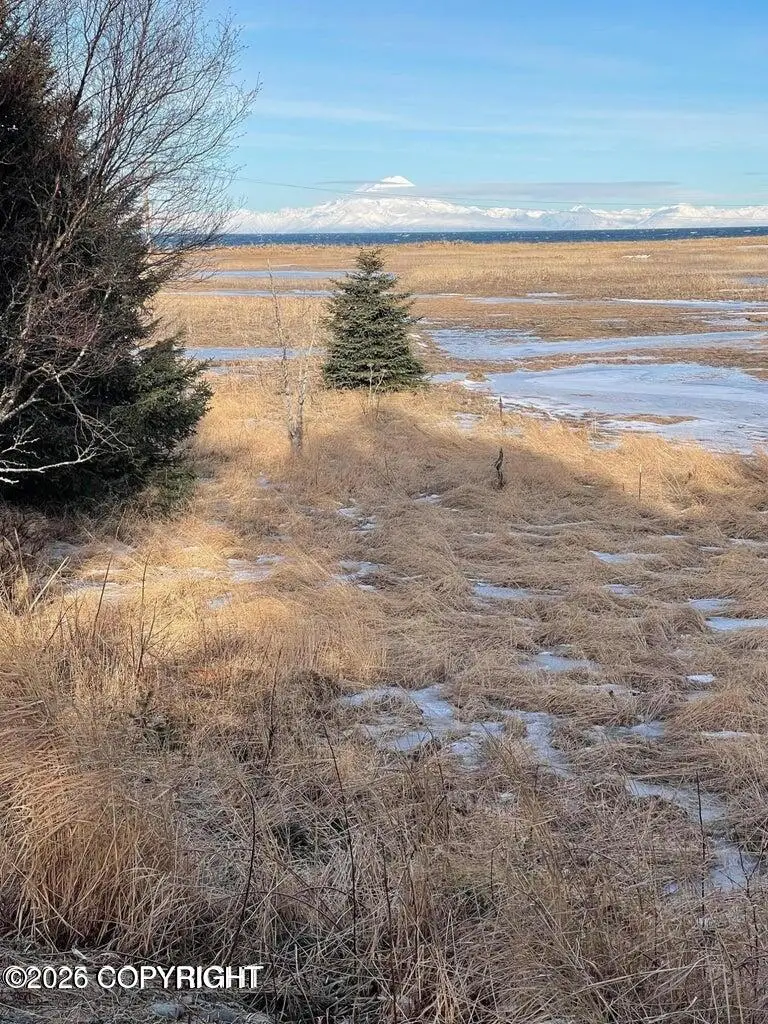 000 Anchor Point (beach) Road, Anchor Point, AK 99556 - #3