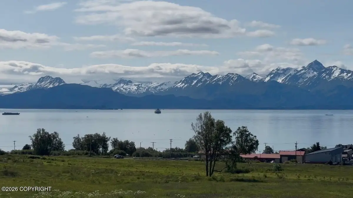 41494 Wandering Street, Homer, AK 99603 - #1