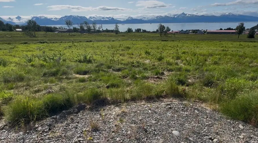 41494 Wandering Street, Homer, AK 99603 - #3