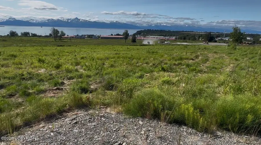 41450 Wandering Street, Homer, AK 99603 - #3
