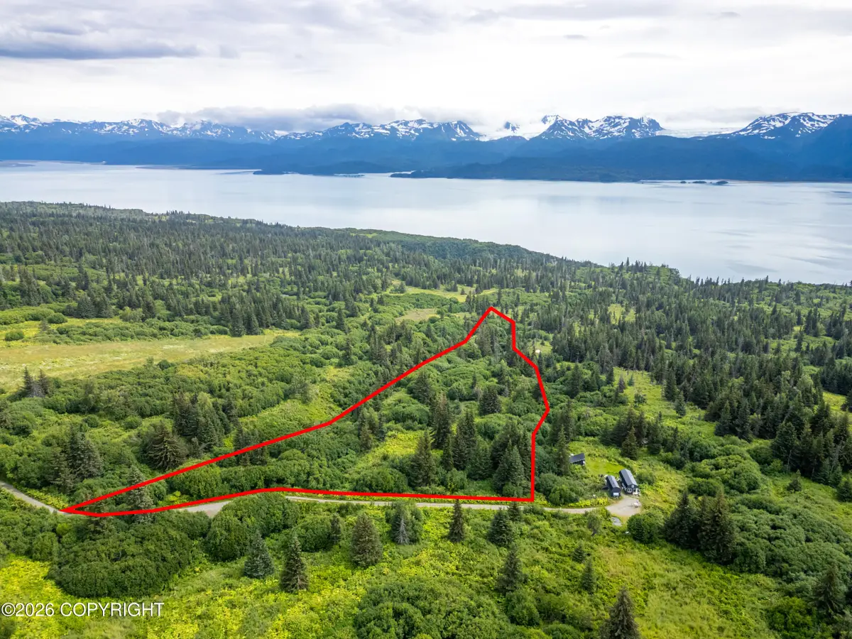 36484 Wild Haven Road, Homer, AK 99603 - #1