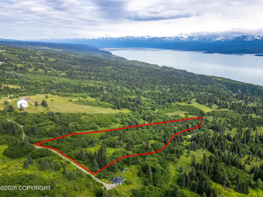 36484 Wild Haven Road, Homer, AK 99603 - #2