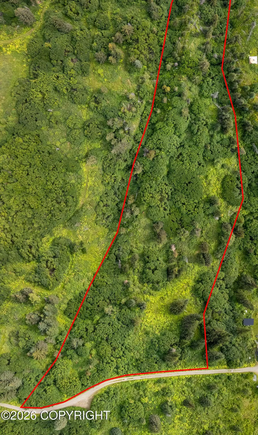 36484 Wild Haven Road, Homer, AK 99603 - #3