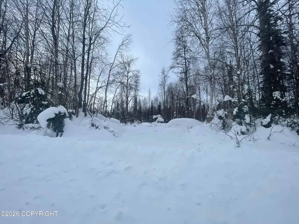49376 S Cutthroat Drive, Willow, AK 99688 - #1