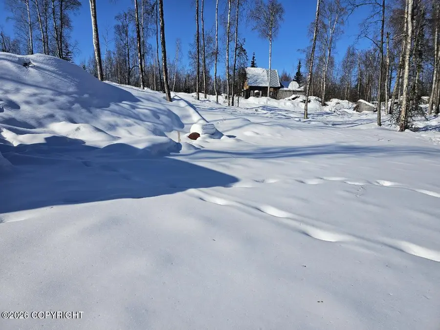 5584 S Kenaka Bena Loop, Big Lake, AK 99652 - #2