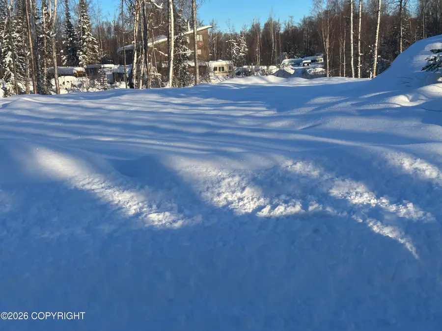 21069 W Matsnu Road, Big Lake, AK 99652 - #2