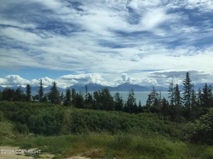 725 Sterling Highway, Homer, AK 99603 - #2