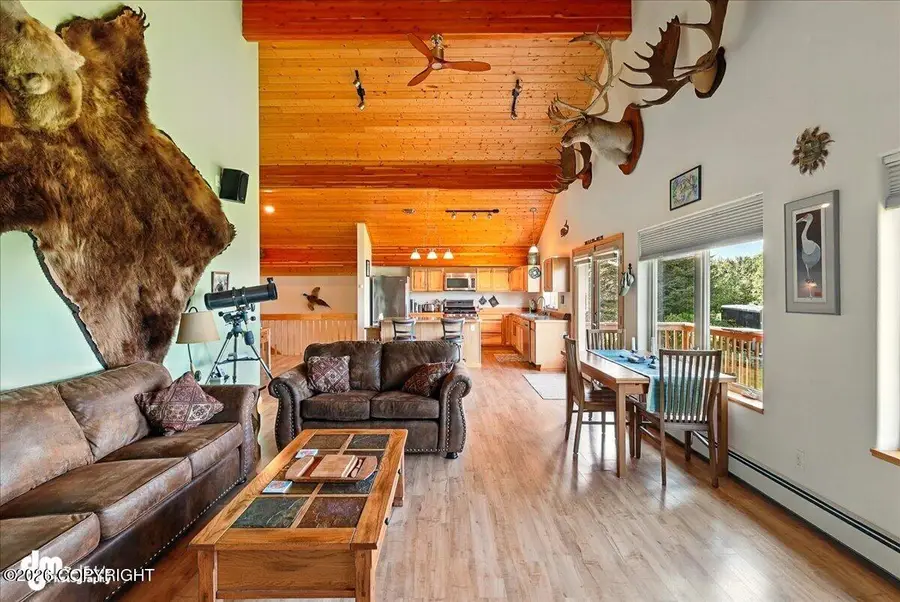 32879 Shorebird Lane, Anchor Point, AK 99556 - #3