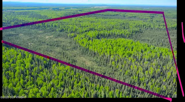 TRACT B Section 20 Ascs 1s 3e, Fairbanks, AK 99712