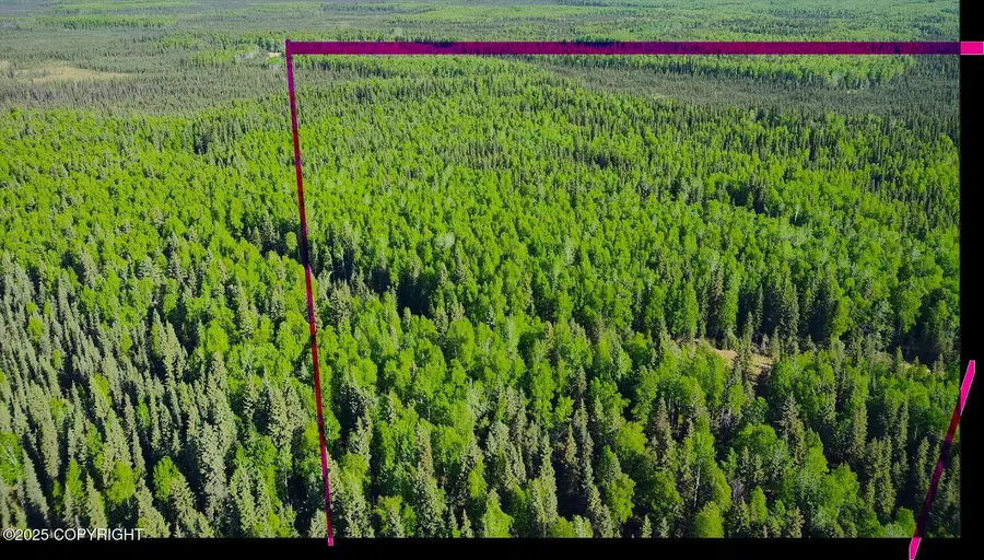 TRACT B Section 20 Ascs 1s 3e, Fairbanks, AK 99712 - Image #2