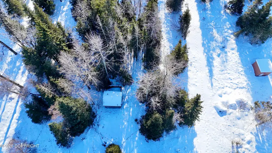 66597 Bach Avenue, Ninilchik, AK 99639 - #3