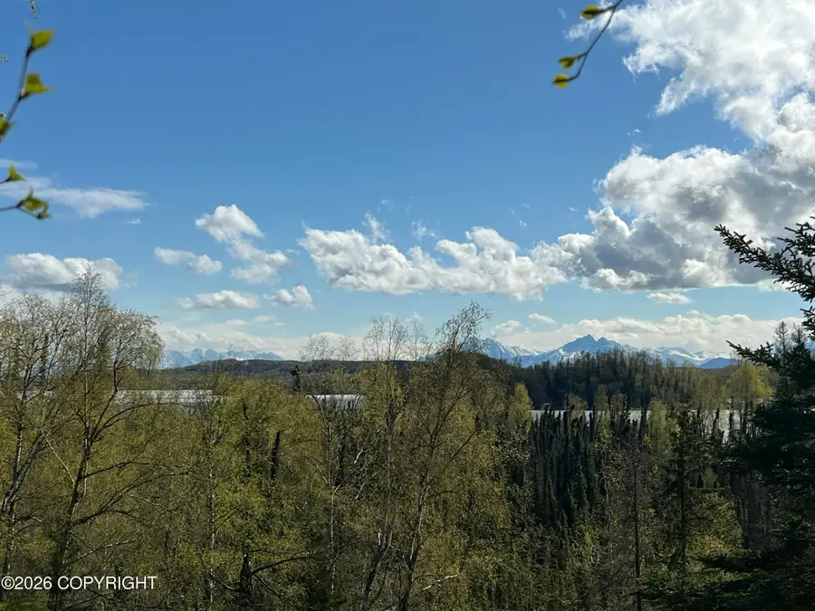 5376 S Jay Sedor Street, Big Lake, AK 99652 - #2