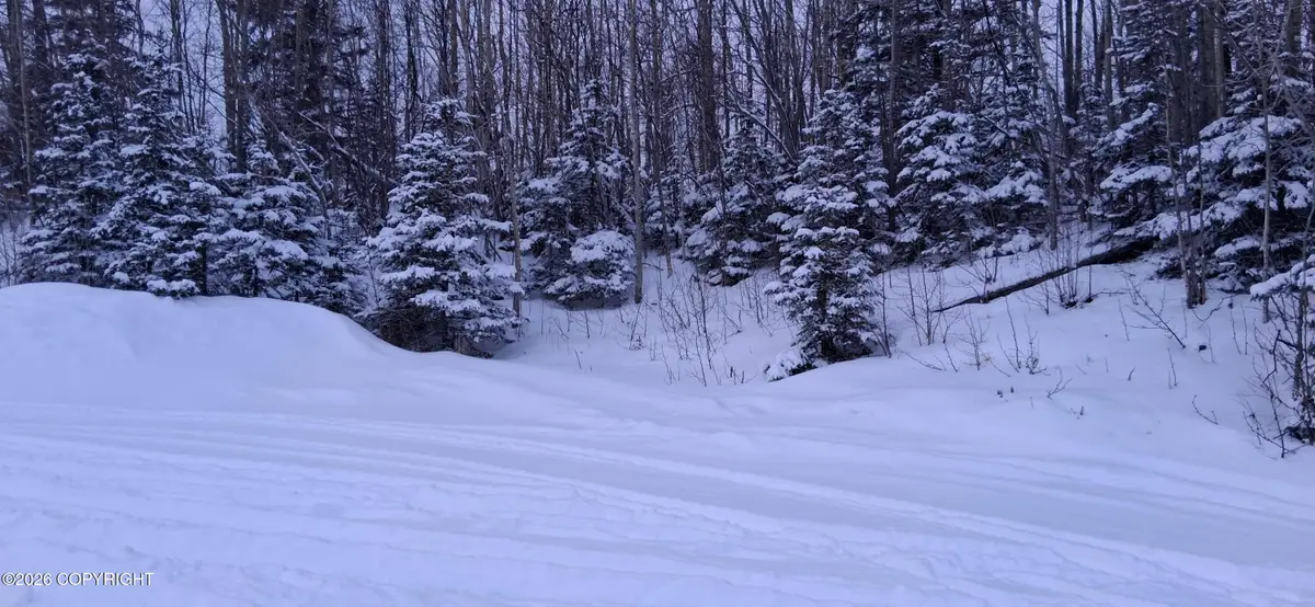 9005 Gold Pan Drive, Palmer, AK 99645 - #1