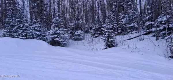 9005 Gold Pan Drive, Palmer, AK 99645